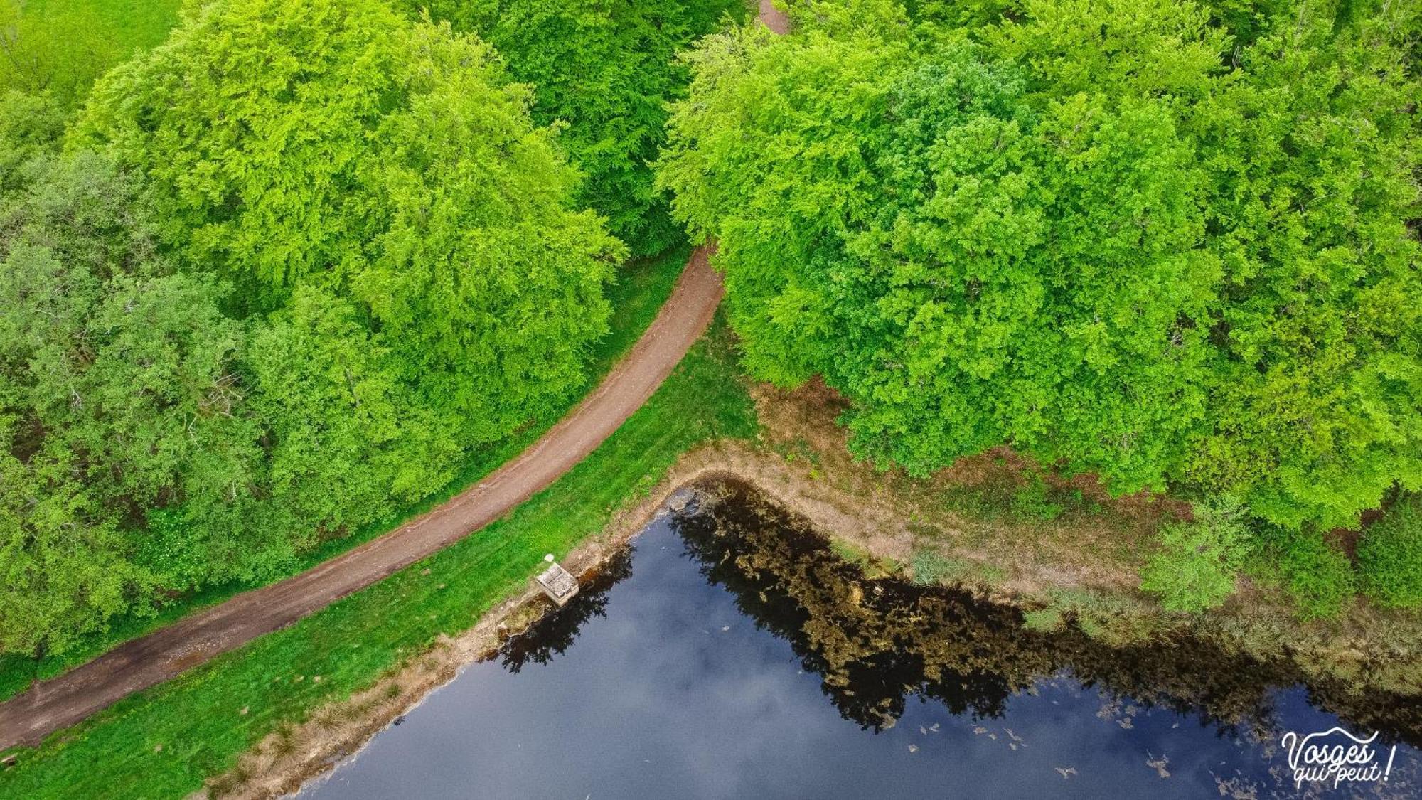 Villa Des Capucins Люксей-ле-Бен Екстер'єр фото